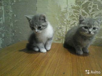   2  ,  ,      ,   ,     ,  