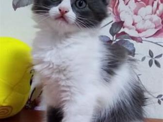     ,   20, 06,  ,    ,   ,  
