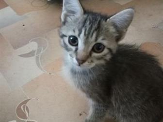  ,  4 ,  