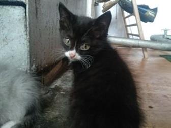   2,  ,   ,     