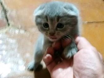     ,   ,   ,  ,  