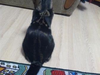  1 ,   ,   ,  