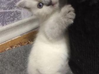   ,  , ,  25, 08,   , ,   ,    ,  ! !  ,  ,   ,  