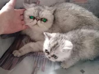  ,  16 ,   ,   ,      ,  