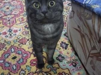   ,  ,  ,  , 1 ,       ,  
