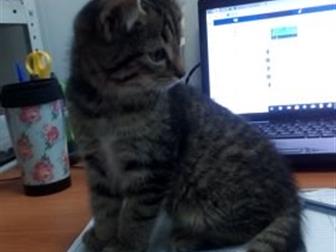     ,  3 ,     ,    ,  ,    ,  , , ,  