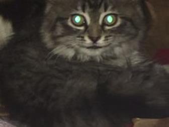    ,   , 2,5 , ,  ,    ,  /  ,    ,  