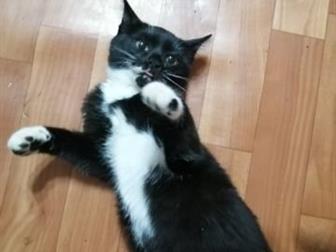     , , , (  ), ,  