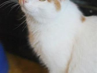 !   5        (  )        !  