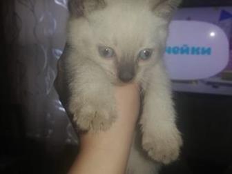        ,   ,      :)  