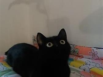  ,  ,  -            ,    2 ,      