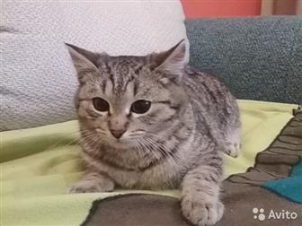  4    ,  , ,  