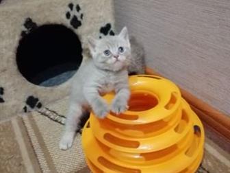  ,  16 ,  :    ,    ,   ,      ,    