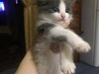     ! 2 ,   ,    , , ,  