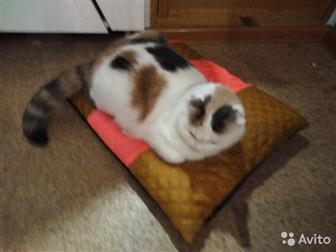        ,      ,        ,  , ,  ,  