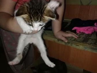 !!!  ,  ,   21 ,  