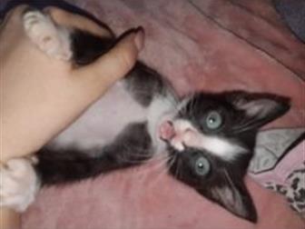      ,   ,    ,  ,     ,  