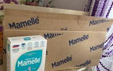  mamelle