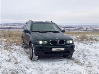  BMV X5, 2003,    ,   ,  ,   3, 0,  ,    ,     ,    