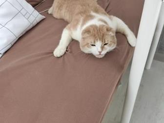  , , !  