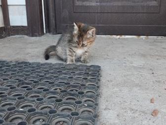  ,     ,  , ,   ,   ,     (, , ),    ,  