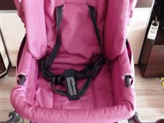    , Inglesina Magnum                