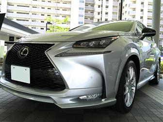      TOMS  Lexus NX 34042399  -