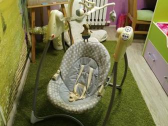    -    2  1,   GRACO,   ,    12, 3 , ,  , : /  -