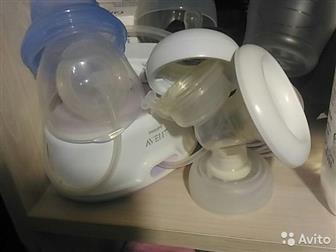 Philips Avent,   : /  