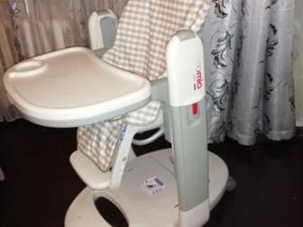    ,      Peg-Perego Tatamia   , -   ,     