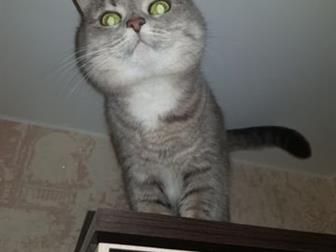       !  ,  ,    ,   ,   ,   ,    