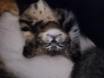     ,  , ,   2 ,  
