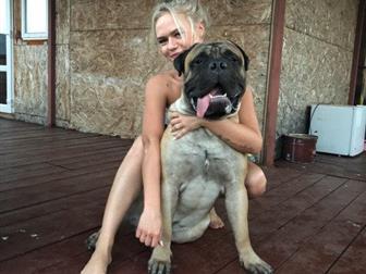  ,  ,  1,5 ,  60 ,    ,  