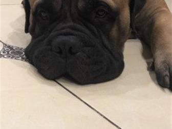  ,  ,  1,5 ,  60 ,    ,  