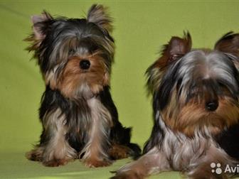     , ,           ,  (   ),5 , -  ,    