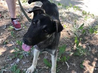  !       ,           !  ,      