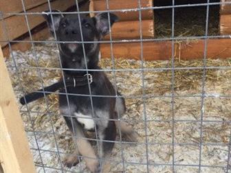  !       ,           !  ,      