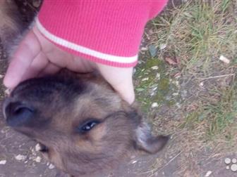       ,,        ,  -     7   14:00,  