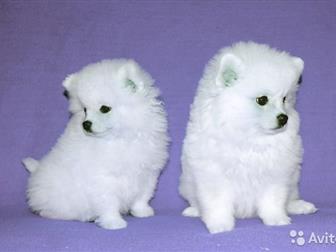      3       ,      , , ,      10000    