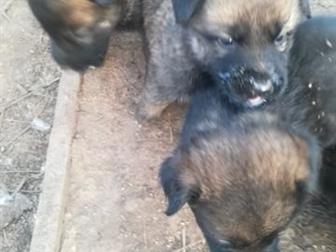   16, 09, 2019,      ,    ,  2 ,      ,  ,  