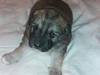  -   ,    ,   20, 09,       18,      15, 11,  