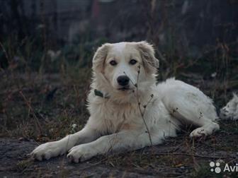     ,   7-8 ,    ,    ,   ,   ,  