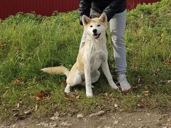  - ,   ,  ,  ,   , ,,   ,   ,  