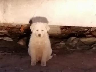       , 1   ,   - ,   -  ,   3 ,        