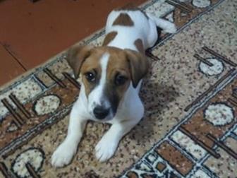   --,   4  2 ,  12, 06, 2019   ,          ,  