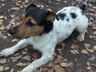      ,       ,    ,     ,  