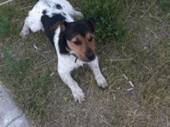      ,       ,    ,     ,  