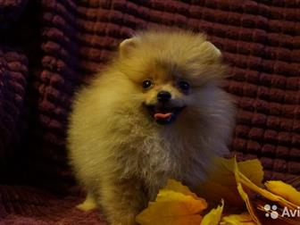    ,   ,        ,  ,,,,  