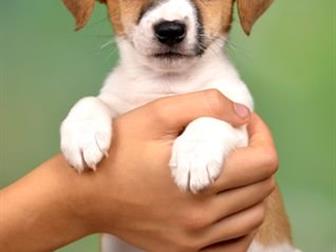     , ,      ,  17, 07, 19,  ,, ,  