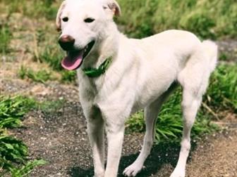     ,       ,   ,  ,   ,  